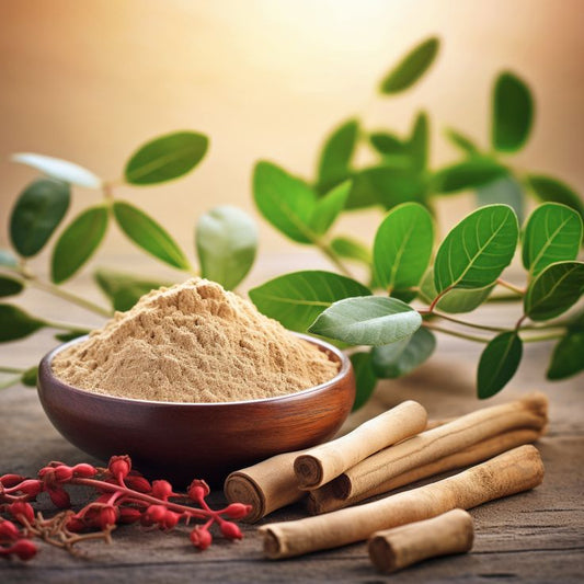Top 5 Benefits of Ashwagandha Powder: The Ancient Super Herb for Modern Living