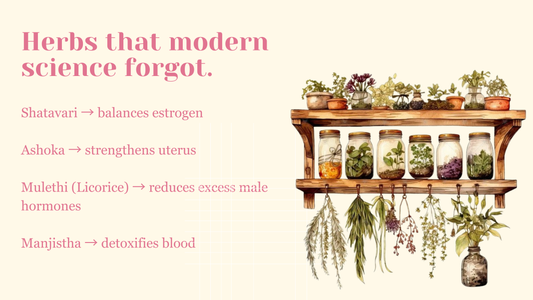 Herbs That Modern Science Forgot: Ayurveda’s Secret to Women’s Wellness