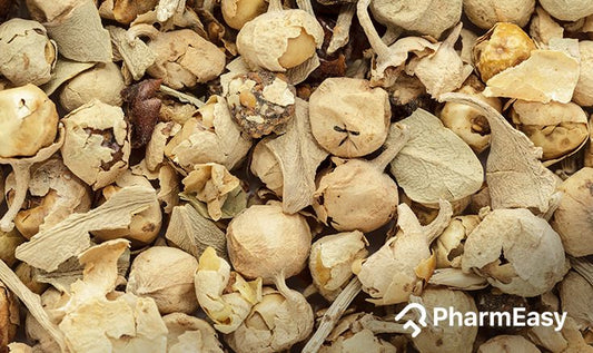 What Is Paneer Phool? Benefits, Uses & How to Consume It Daily