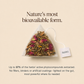 Namhya Liver Cleanse Tea | Milk Thistle + 8 Ayurvedic Herbs for Fatty Liver & Hepatic Detoxification