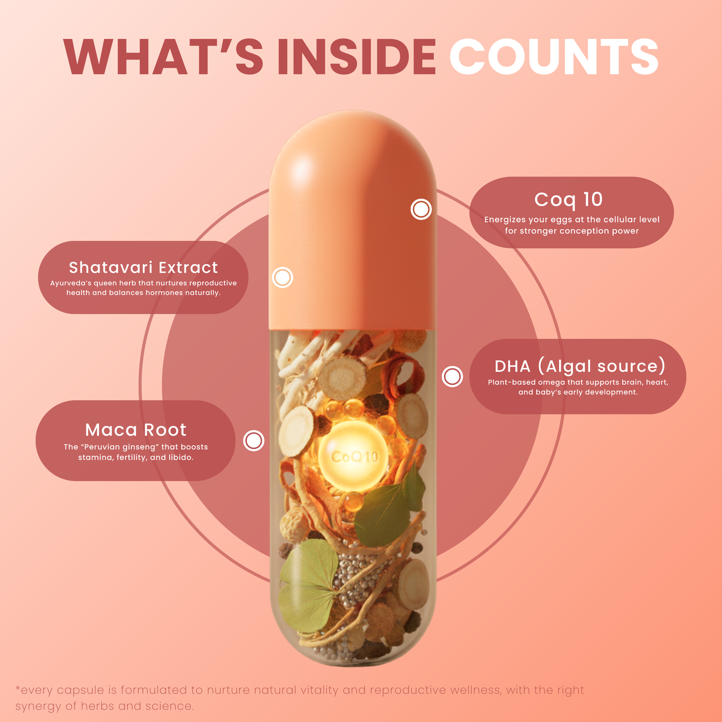 Namhya Fertility Care Capsules— Advanced CoQ10 + Shatavari +dha  (60 Capsules)