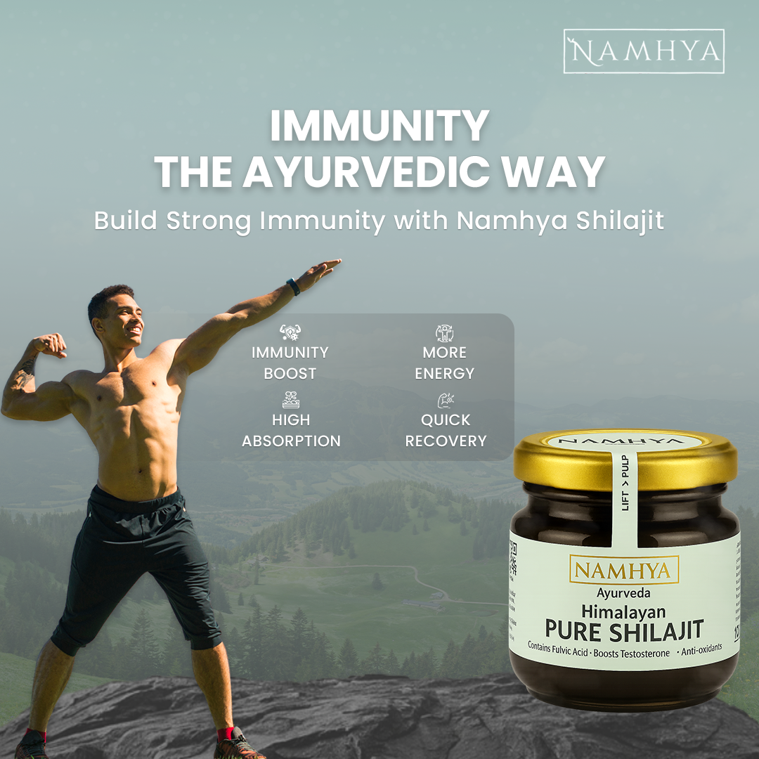 Namhya Original Himalayan Pure Shilajit Resin 20g (Pack of 1)