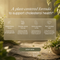 Namhya Cholesterol Care Tea | Ayurvedic Herbal Tea for Heart Health & Cholesterol Balance