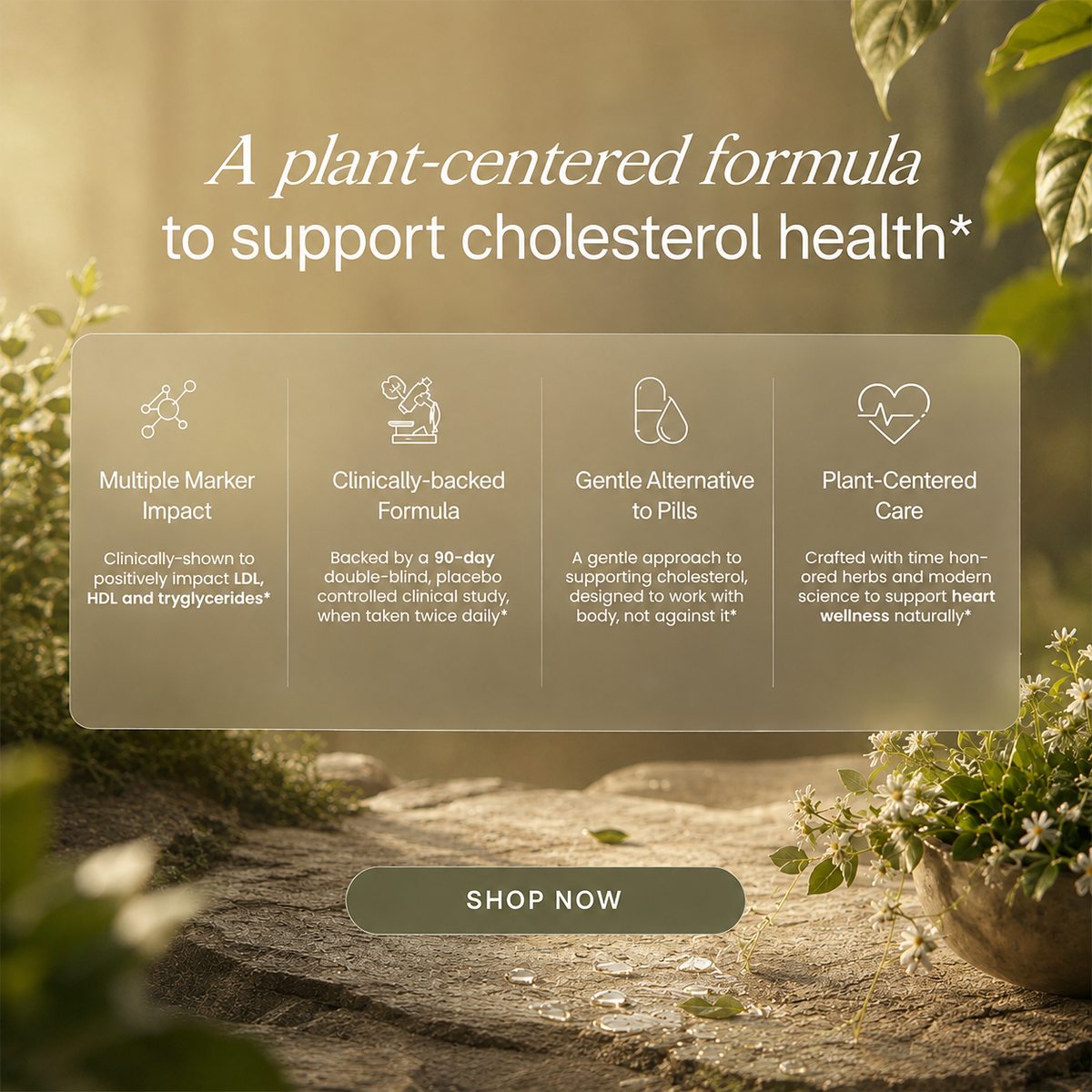 Namhya Cholesterol Care Tea | Ayurvedic Herbal Tea for Heart Health & Cholesterol Balance