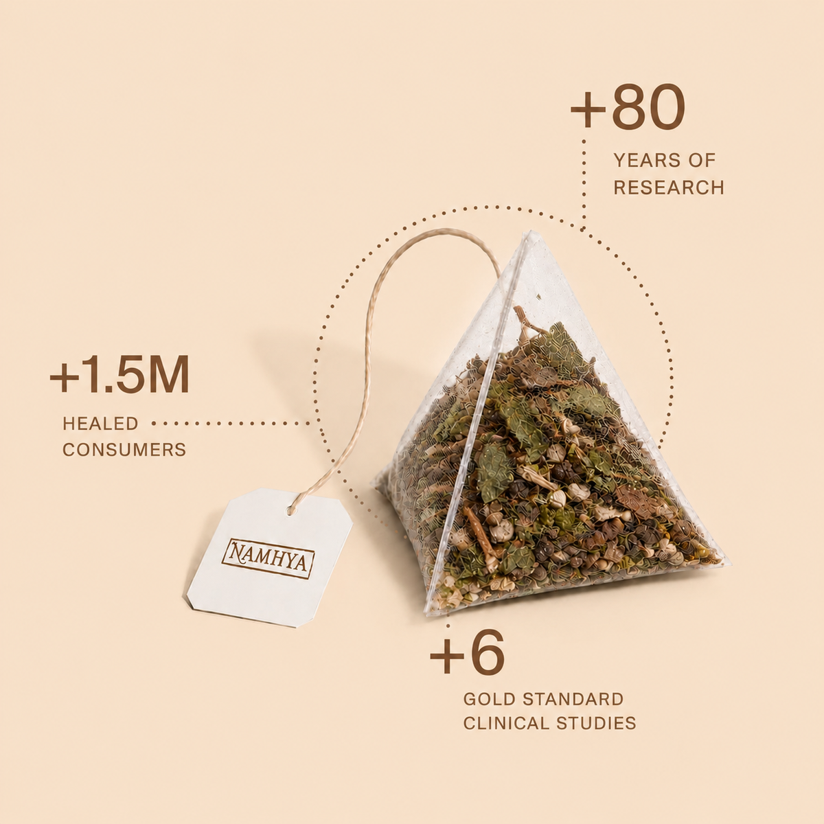 Namhya Cholesterol Care Tea | Ayurvedic Herbal Tea for Heart Health & Cholesterol Balance