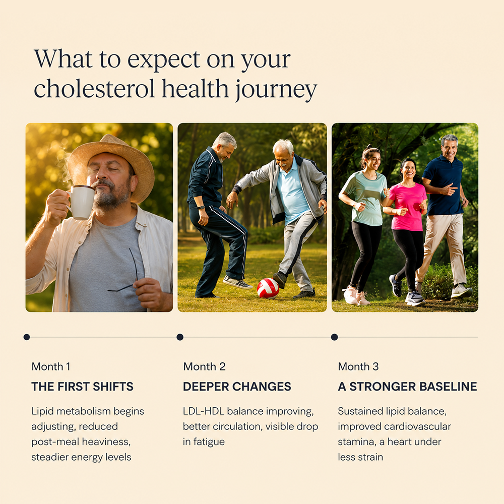 Namhya Cholesterol Care Tea | Ayurvedic Herbal Tea for Heart Health & Cholesterol Balance (Copy)
