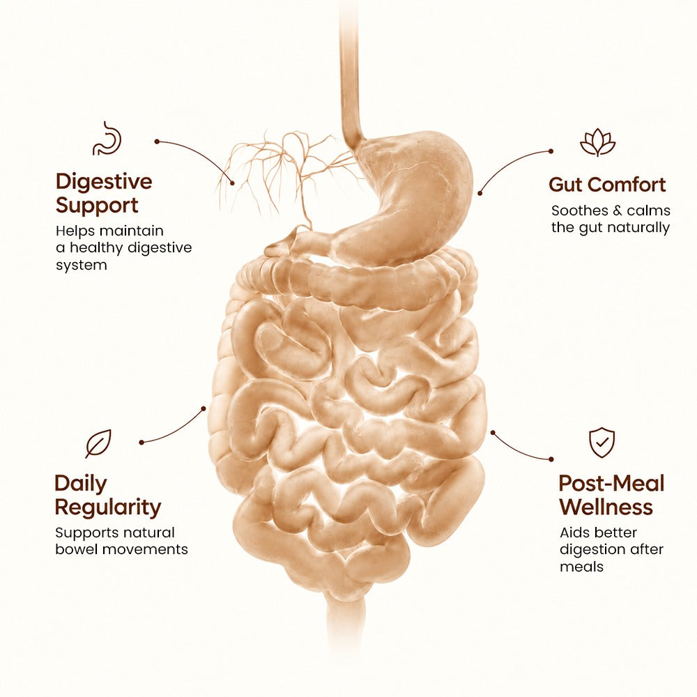 Namhya GUT Reset+ |  Eases Bloating | Calms IBS | Improves Digestion