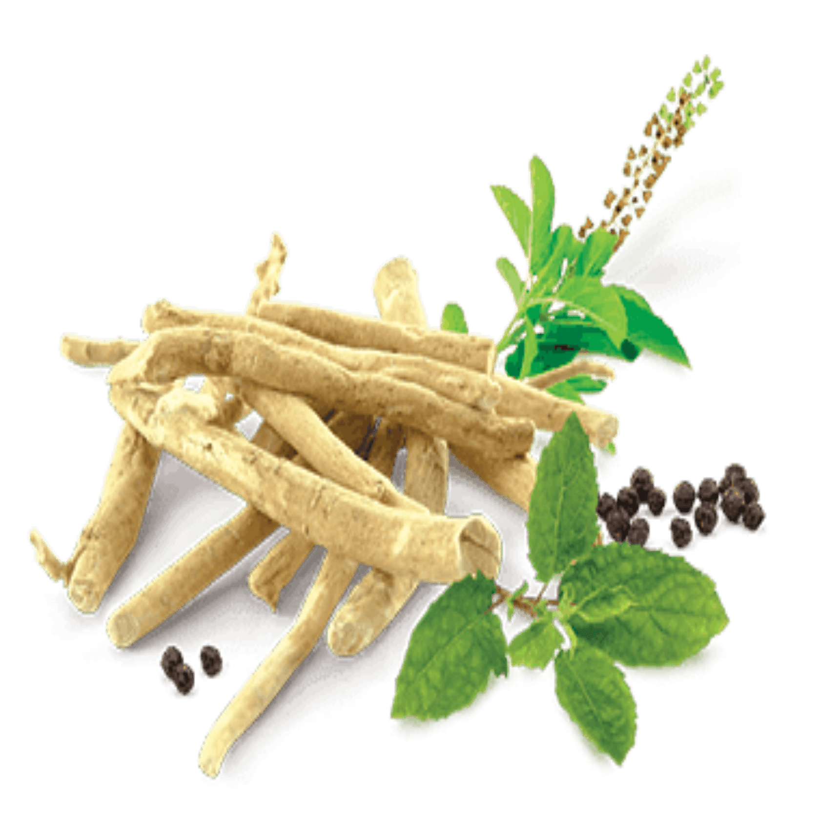 Namhya Original Ashwagandha NAMHYA