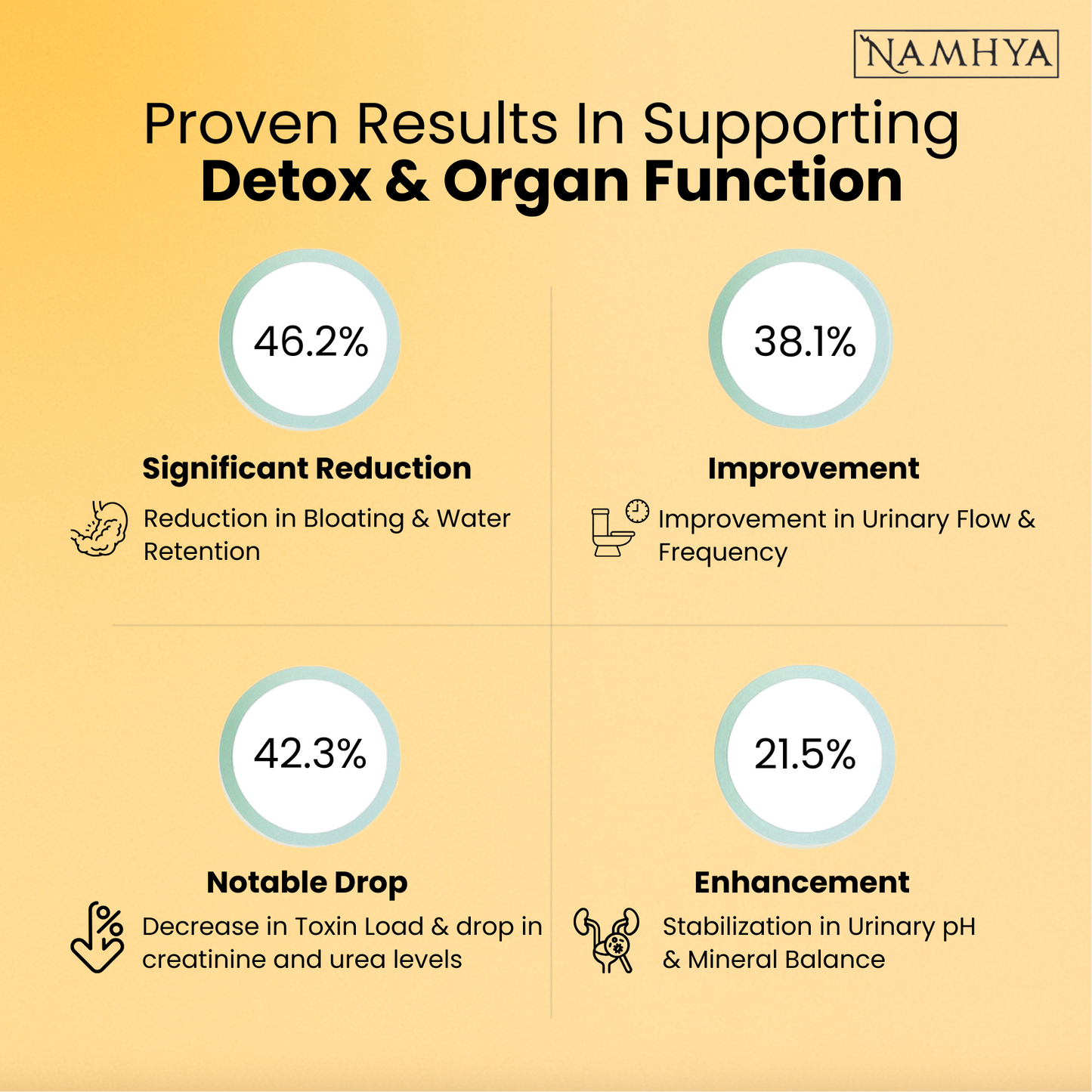 Namhya Kidney Cleanse Tea | 28-Day Ayurvedic Blend for Kidney Detox, Stone Shield & Water-Weight Relief | Sip – Flush – Renew