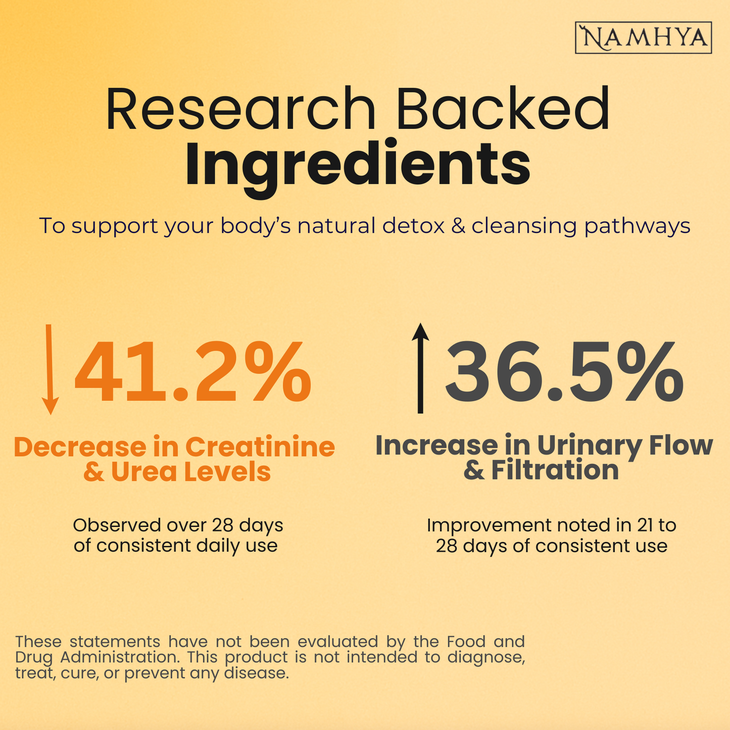 Namhya Kidney Cleanse Tea | 28-Day Ayurvedic Blend for Kidney Detox, Stone Shield & Water-Weight Relief | Sip – Flush – Renew