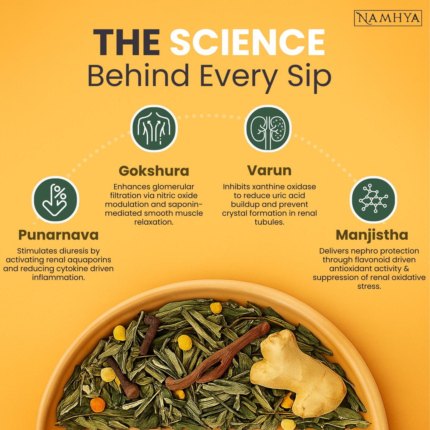 Namhya Kidney Cleanse Tea | 28-Day Ayurvedic Blend for Kidney Detox, Stone Shield & Water-Weight Relief | Sip – Flush – Renew