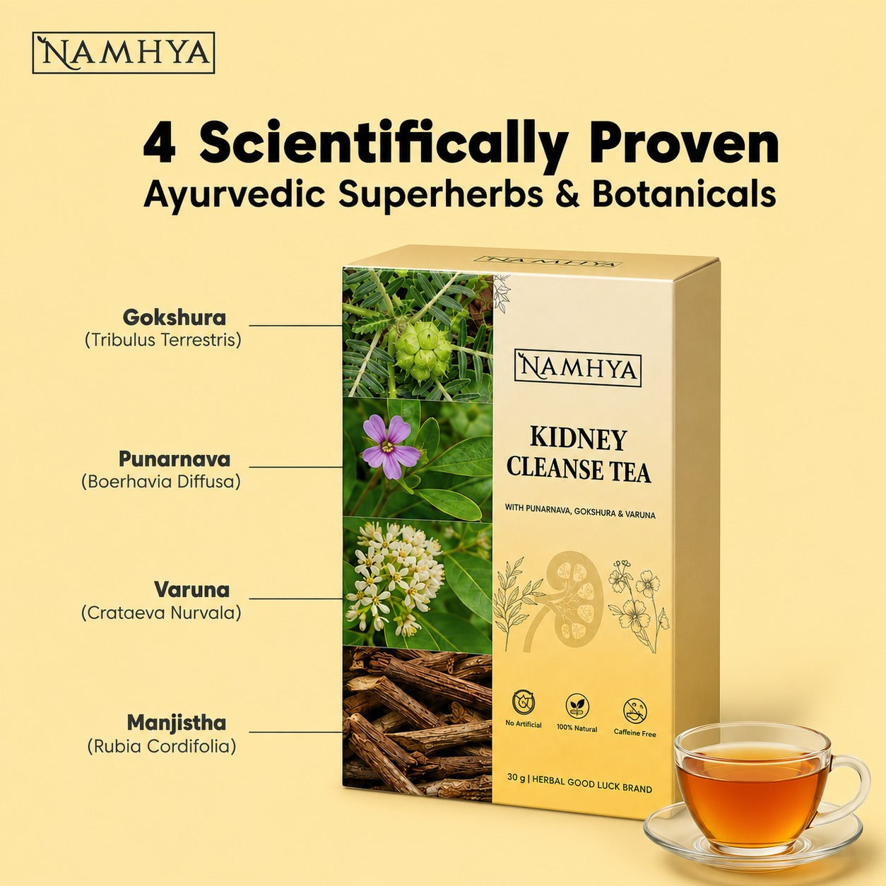Namhya Kidney Cleanse Tea | 28-Day Ayurvedic Blend for Kidney Detox, Stone Shield & Water-Weight Relief | Sip – Flush – Renew